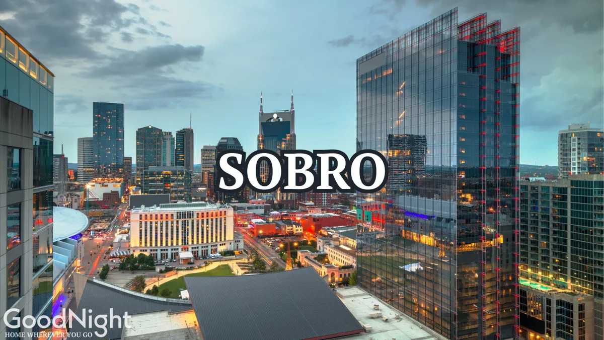 A sweeping view of the Nashville city skyline at dusk, with neon lights illuminating modern buildings and the urban landscape alive with energy. The scene captures the city’s vibrant nightlife and the allure of downtown adventures.